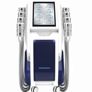 Vertical Freezing Sclupting Plate Machine